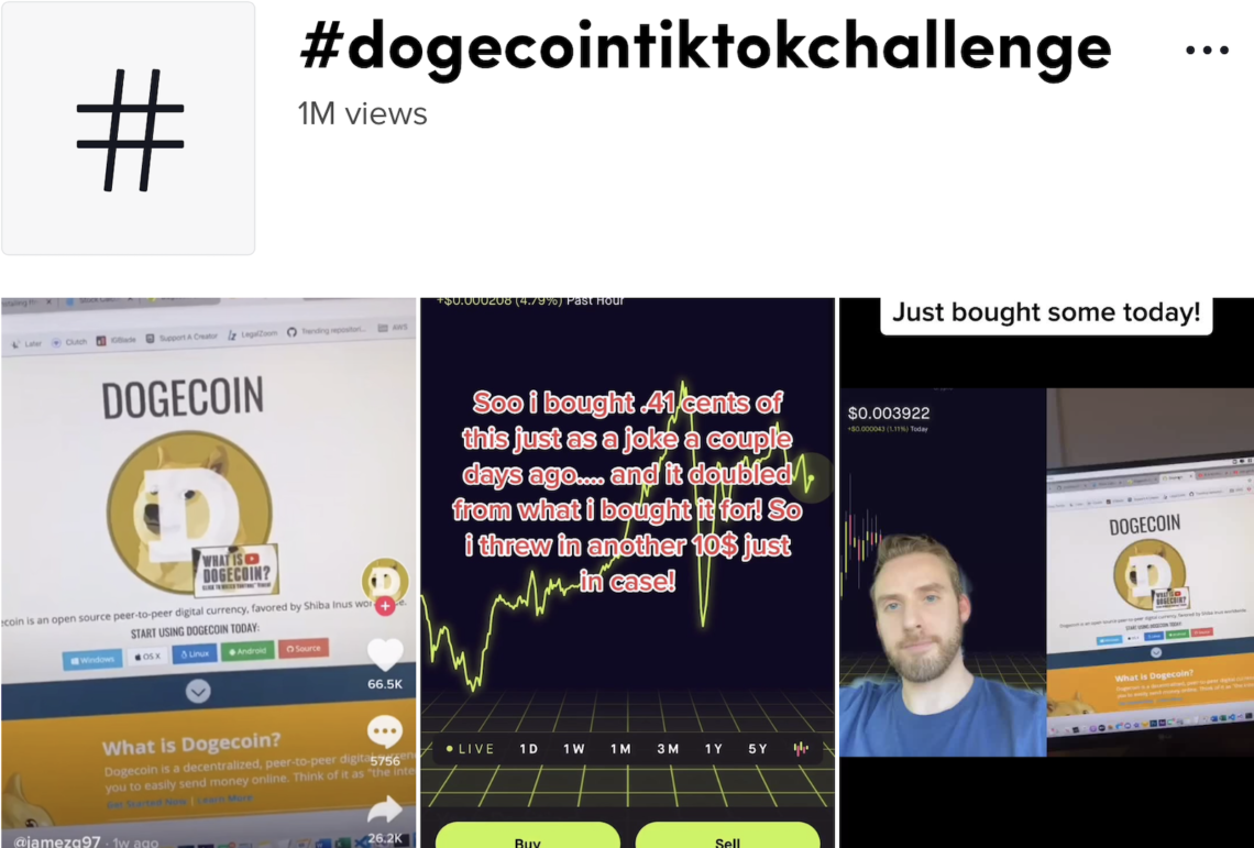 TikTok Fans Aim to Inflate Dogecoin | Video | CoinDesk