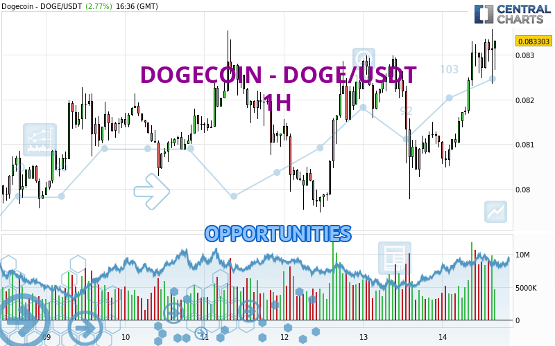 DOGE USDT - Binance - CryptoCurrencyChart