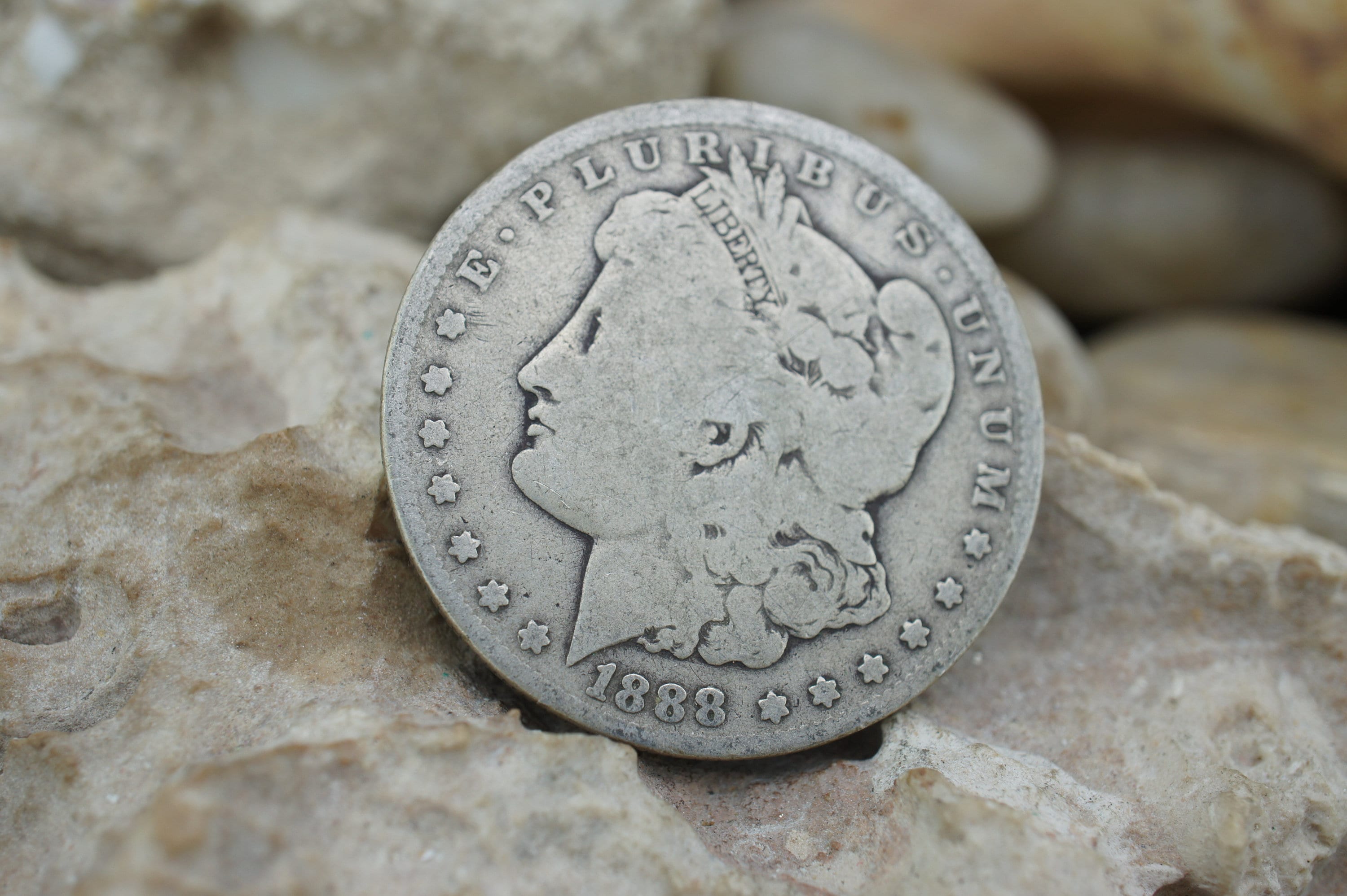 Value of Morgan Dollar | Rare Silver Dollar Buyers