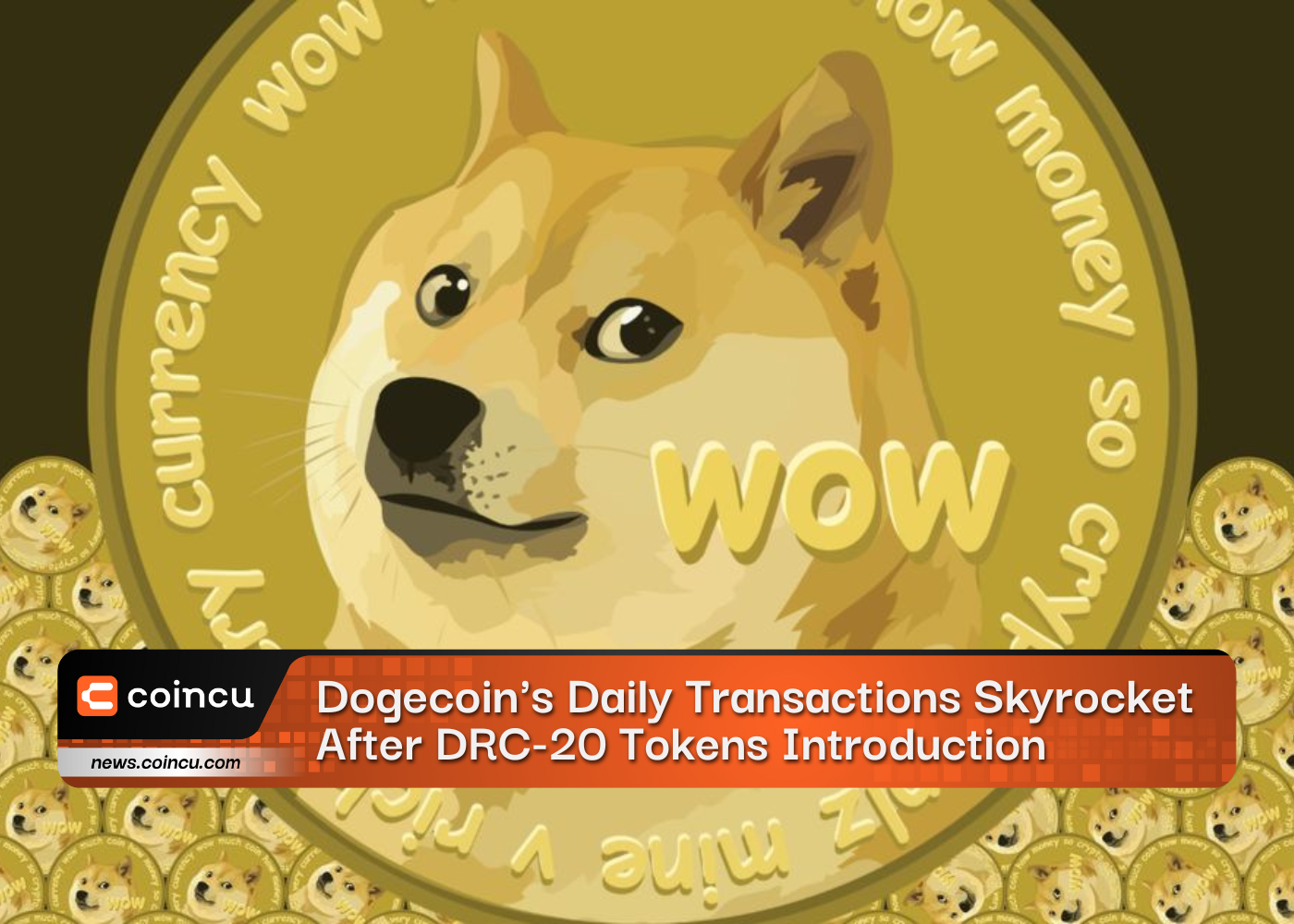 Bitcoin, Dogecoin Transactions Chart