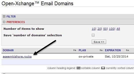 How to Get a Professional Email Address with a Custom Domain 📧