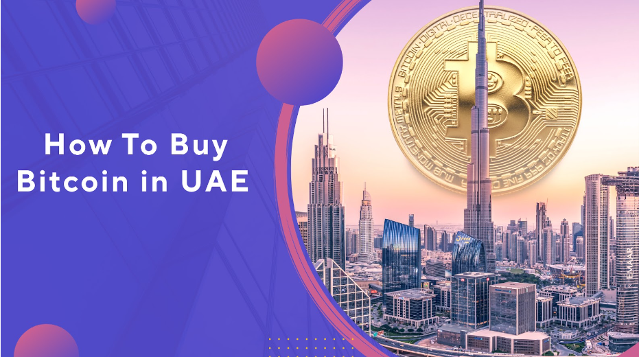 4 Best Exchanges To Buy Bitcoin in Dubai ()