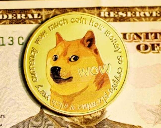 Dogecoin to Ukrainian Hryvnia Exchange Rate Chart | Xe