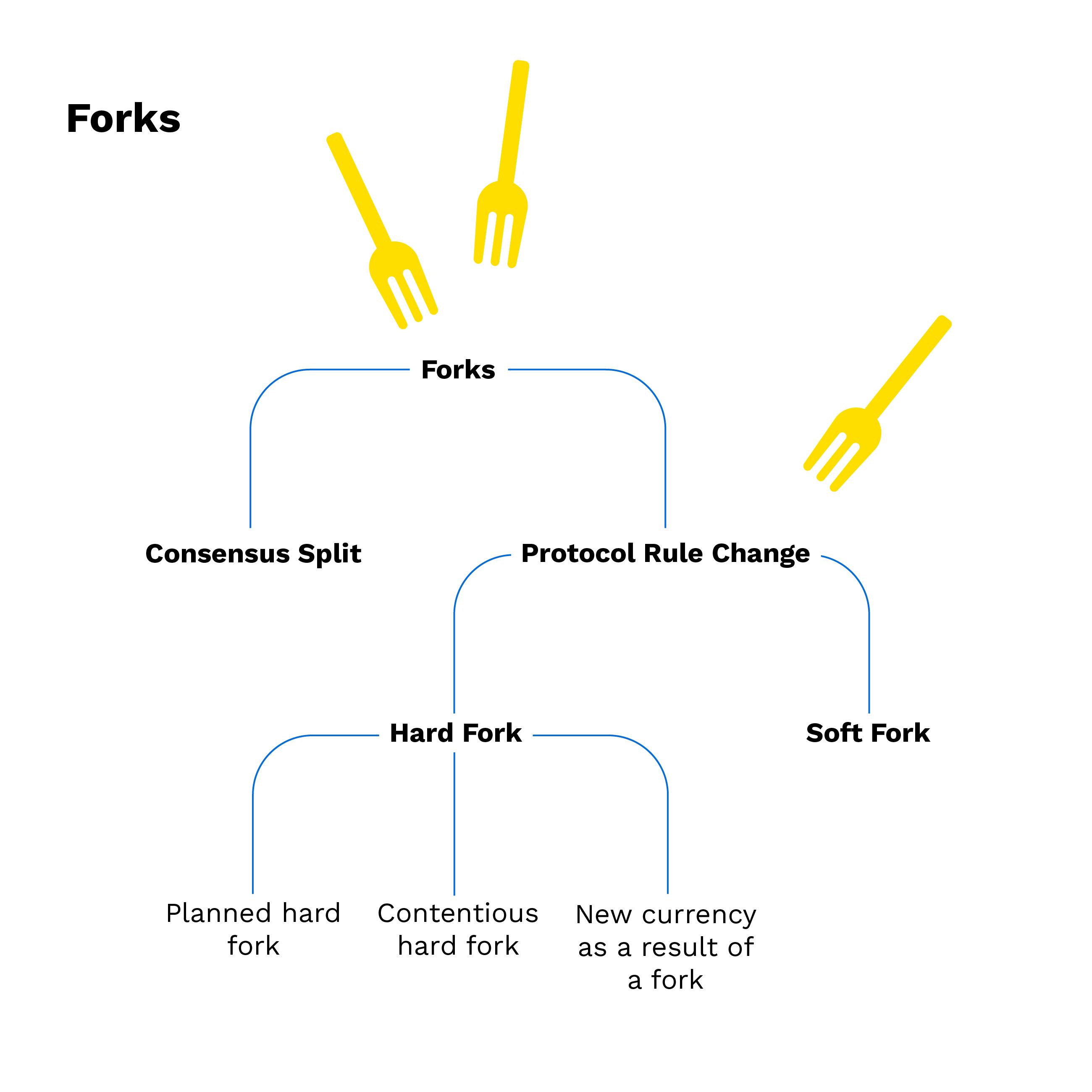 What is a Blockchain Hard Fork? - Zerocap