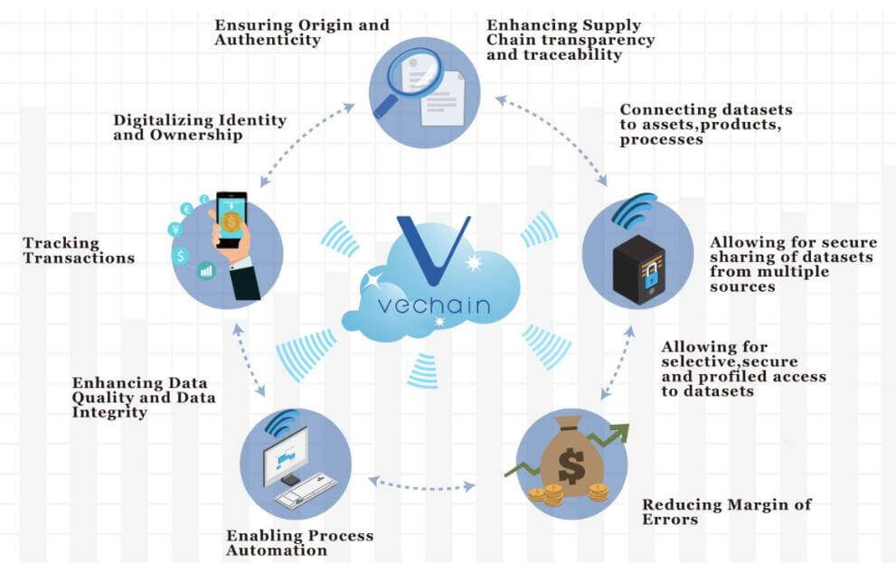 Everything you need to know about Vechain Nodes and Node rewards | cryptolive.fun