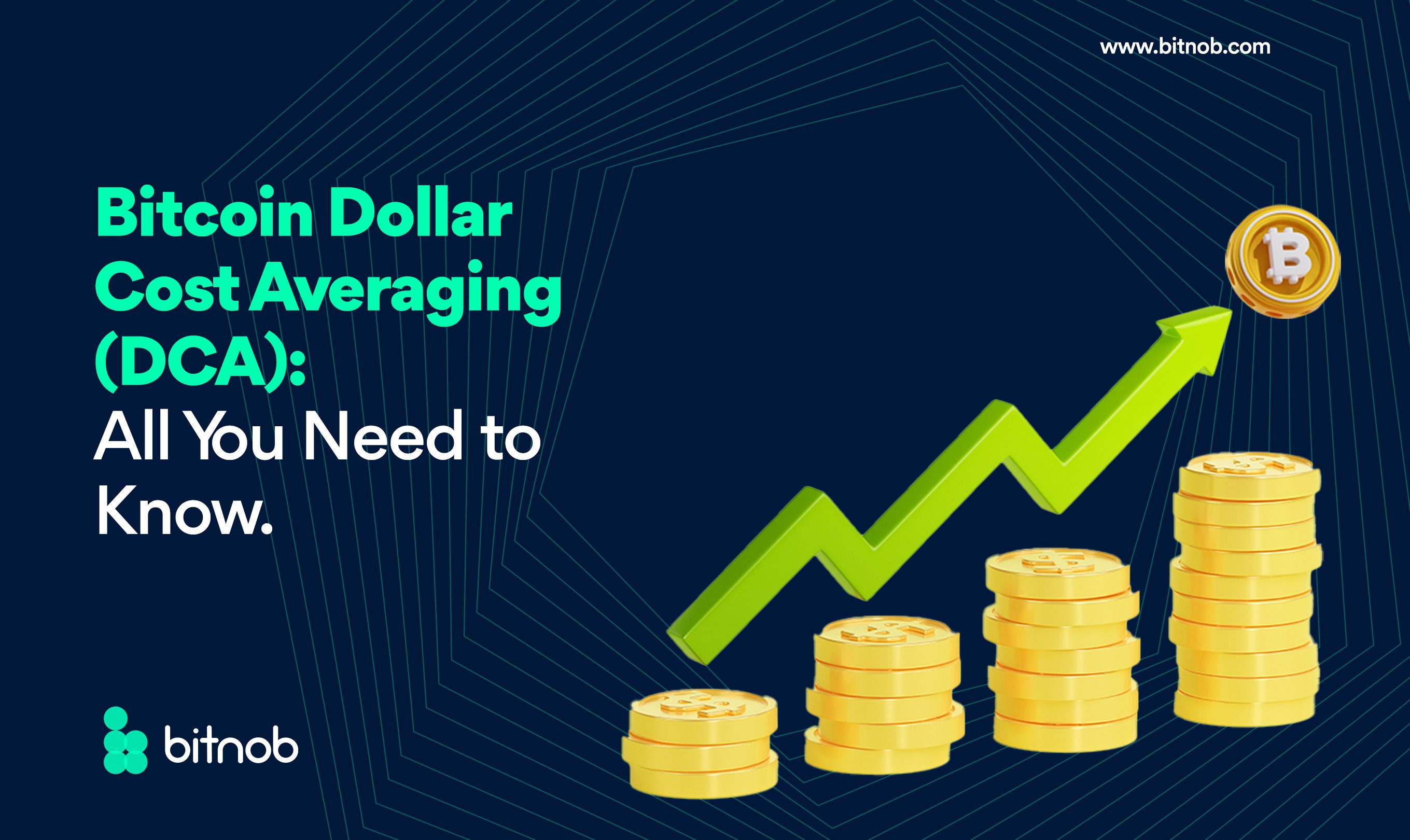 Bitcoin Dollar Cost Average