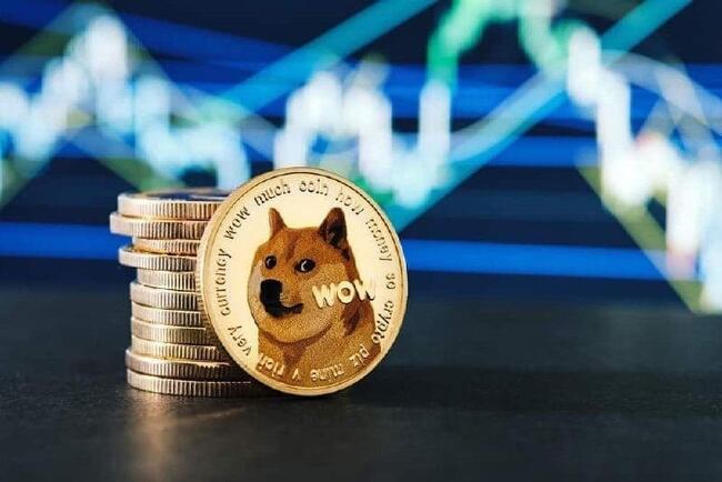 Dogecoin Price | DOGE Price index, Live chart & Market cap | OKX