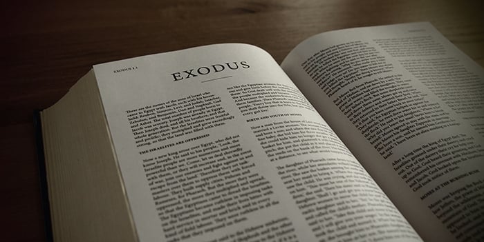 [SOLVED] Select the correct antonym of the given word. Exodus - Self Study 