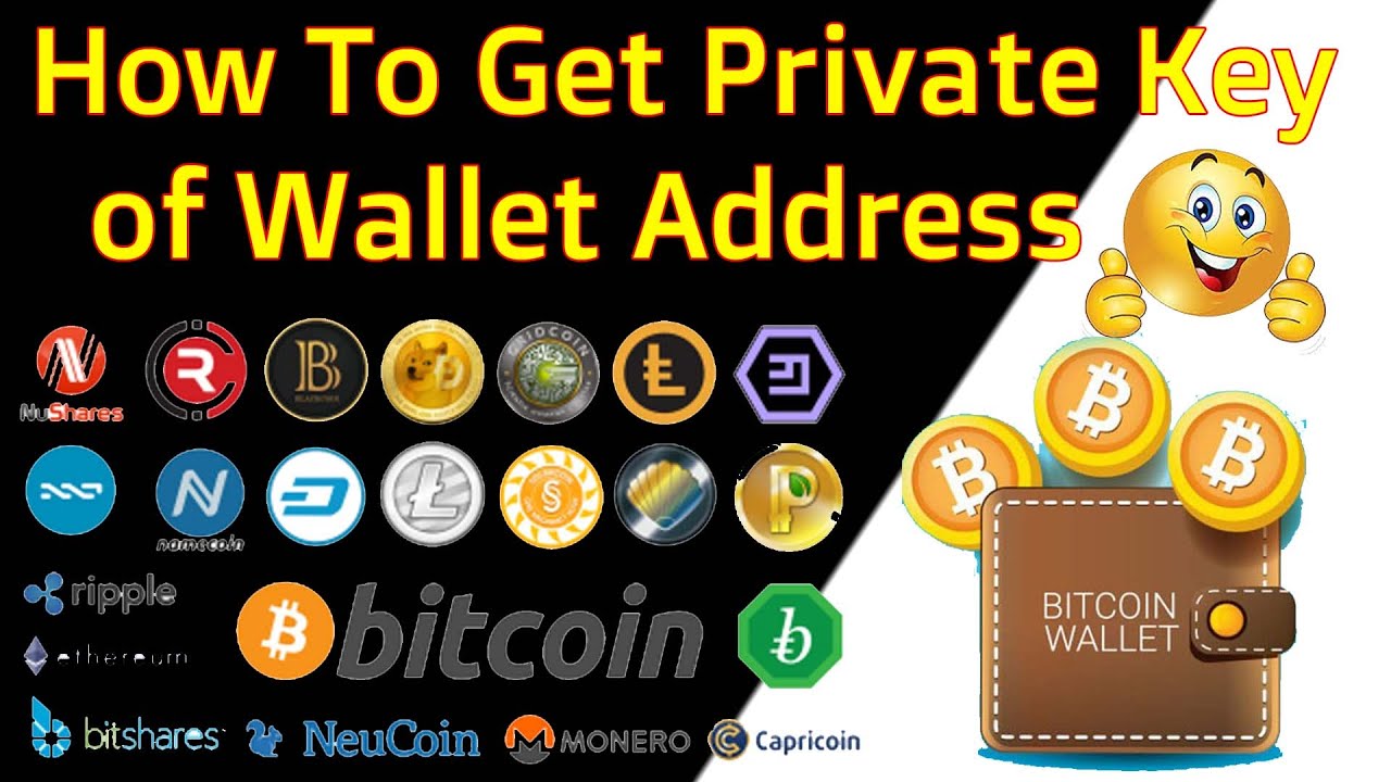 How to get the private key of any bitcoin address and how to find private key wallet - cryptolive.fun