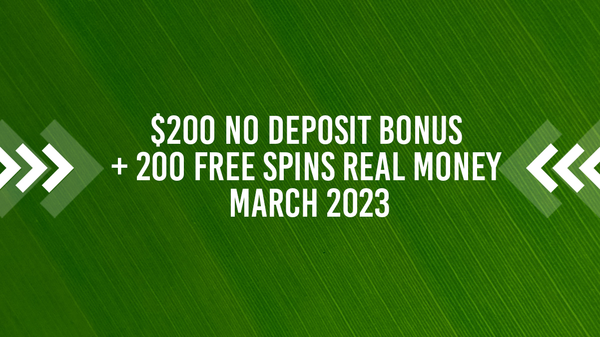 A Quick Look at No Deposit Bonuses and Free Bonus Codes - Casino Bonuses | cryptolive.fun