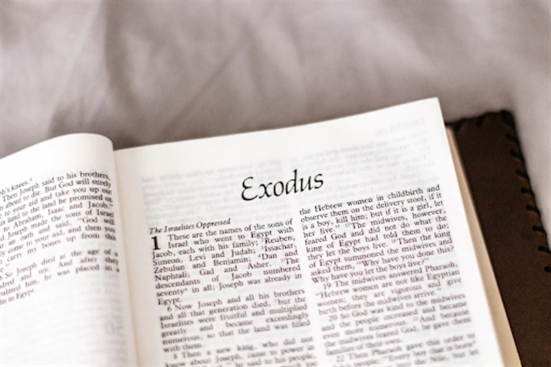 English to Telugu Meaning of exodus - ఎక్సోడస్