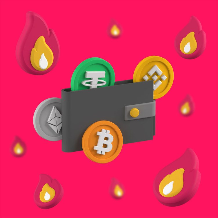 9 Best Crypto Hardware Wallets for Cold Storage () | cryptolive.fun