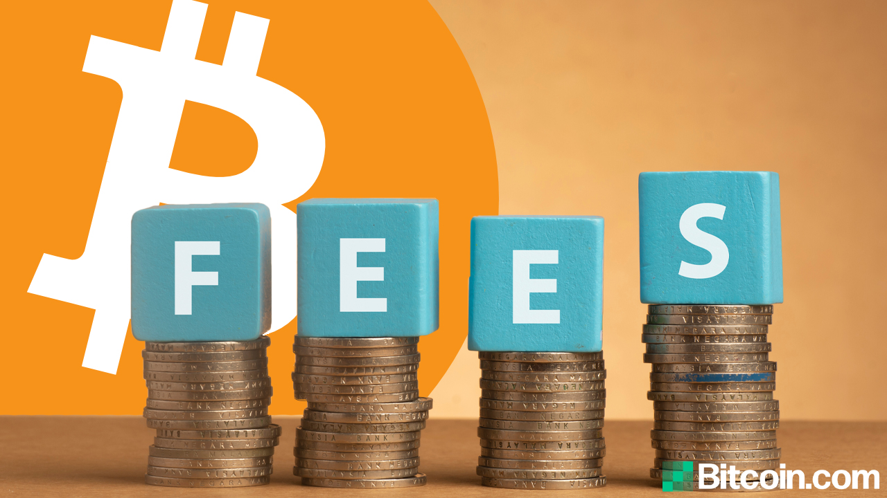 Bitcoin (BTC): Withdrawal Fees Compared () | cryptolive.fun