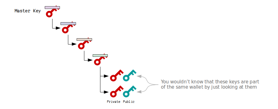 What Are HD Wallets? (Hierarchical Deterministic) With Examples