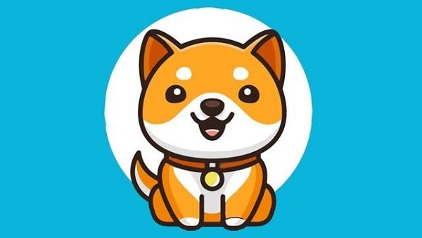 Baby Dogecoin: What It Is, Price and Should You Buy? | GOBankingRates