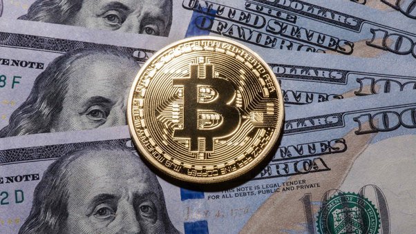 BTC to USD Forecast: Convert Bitcoin to US Dollar – Forbes Advisor INDIA