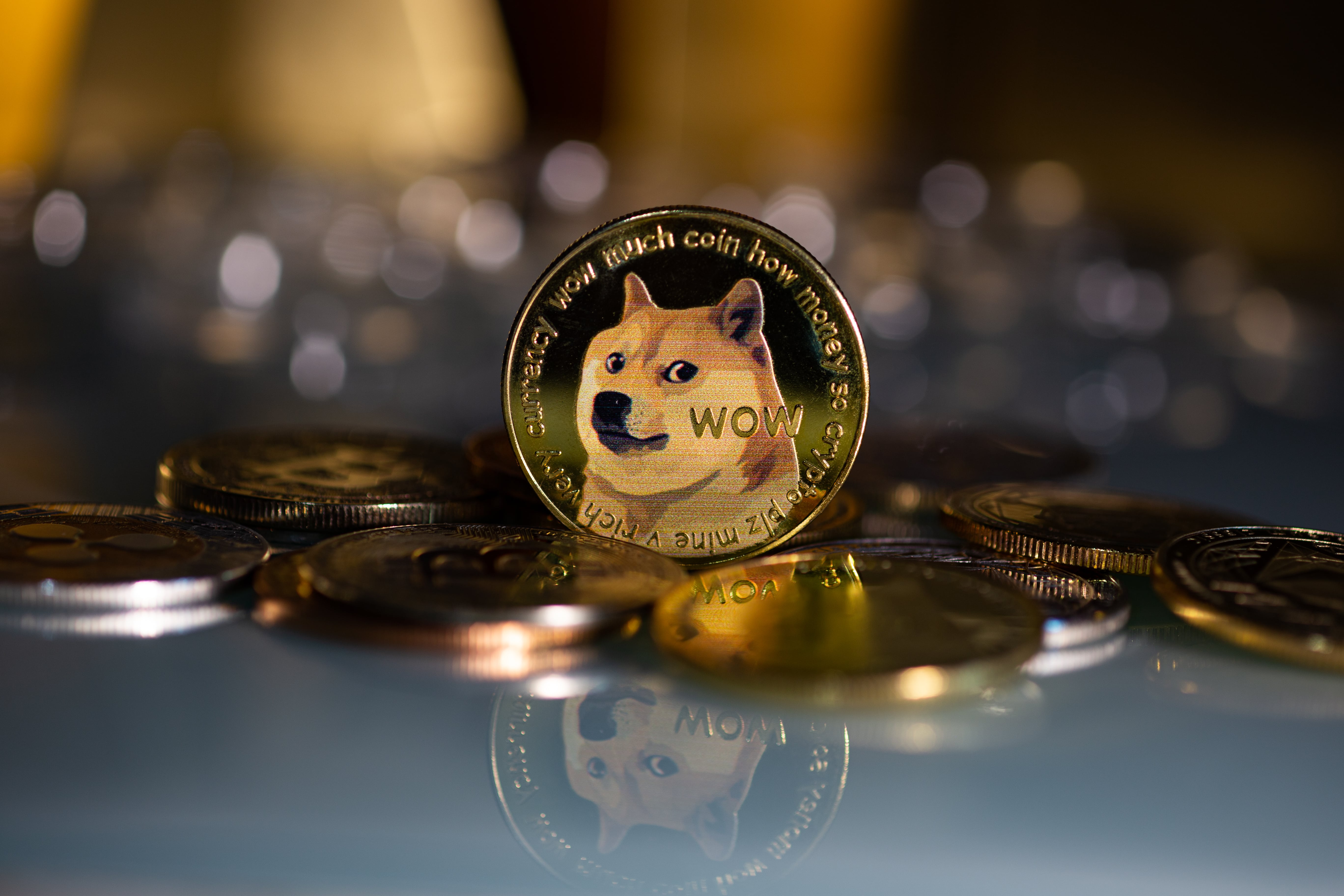 How to Mine Dogecoin in - Step by Step Guide