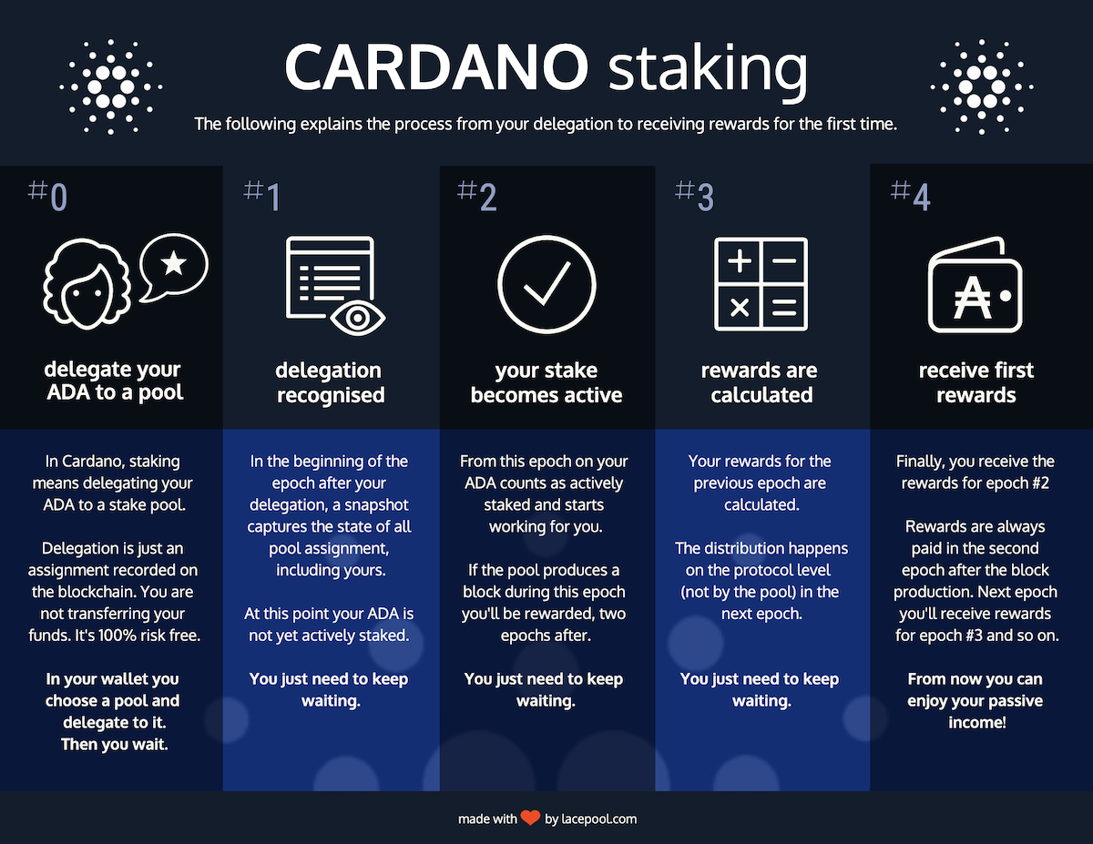 Cardano Stake Pools Explained | Genius Academy