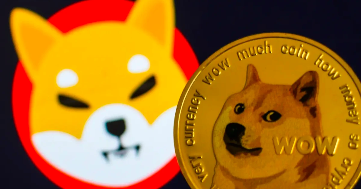 Is It Too Late to Buy Dogecoin Today & in ?