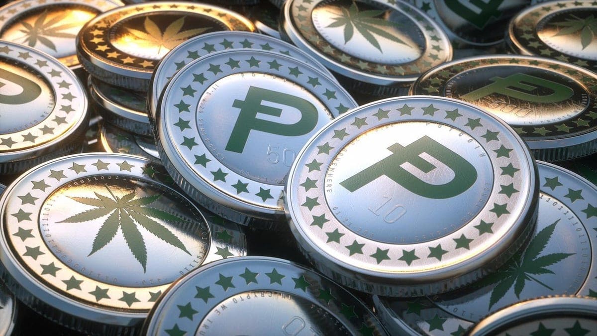 PotCoin Explained - cryptolive.fun