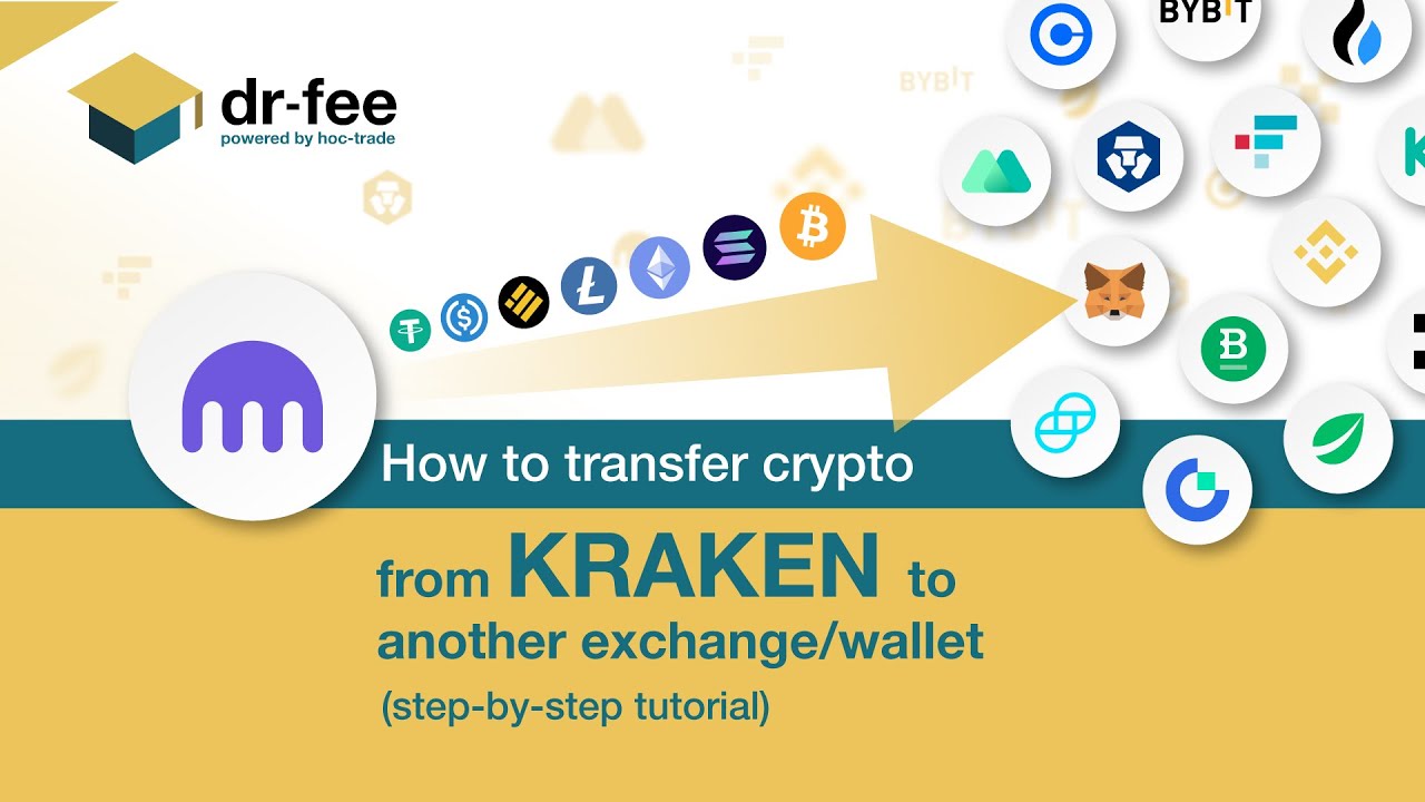 Kraken Review & Guide | Everything you need to know on Kraken