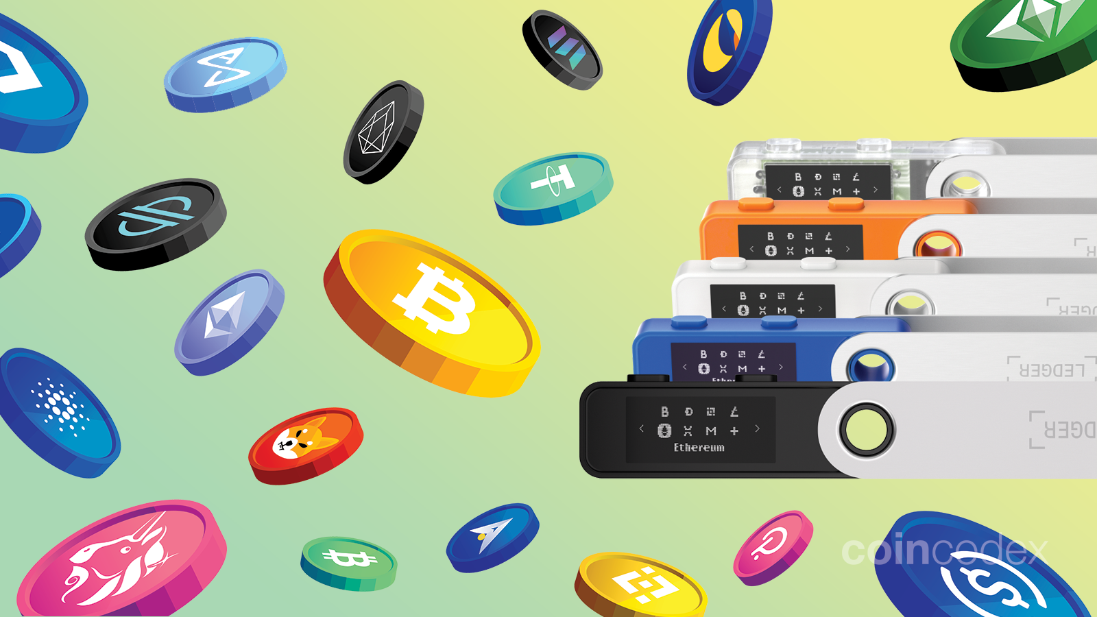 Ledger Nano S Plus vs. X: Which Should You Choose?