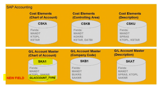 What Is an SAP S/4HANA Finance Ledger?