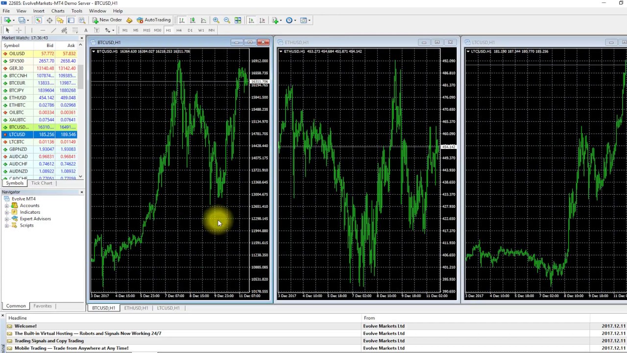 Crypto Trading - Trade Bitcoin & Cryptocurrency on MT5 with Crypto & Stablecoin Deposit | XBTFX