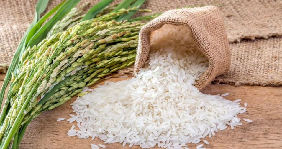 Basmati put under minimum export price | Mint