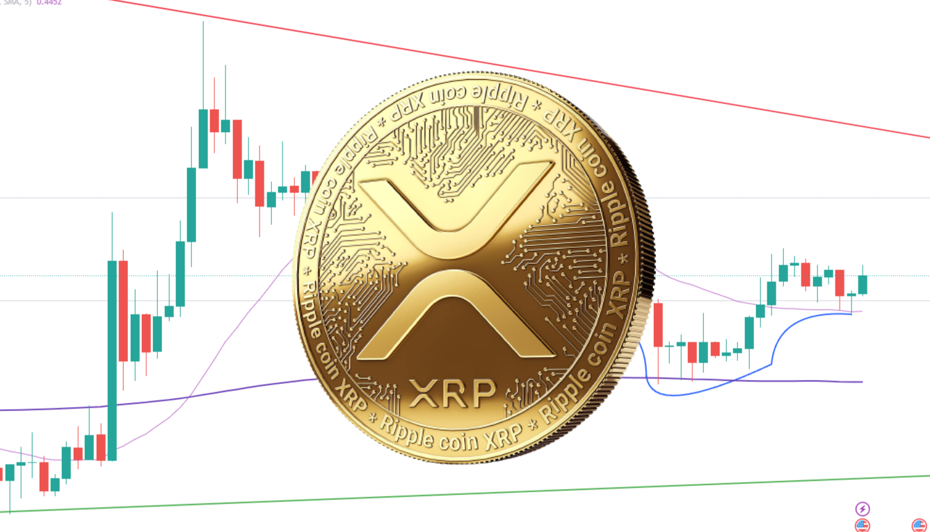 Latest XRP News Today by Coingape