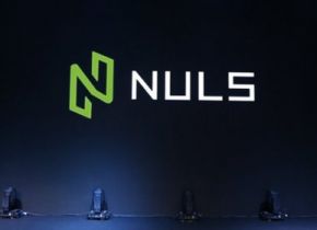 Nuls (NULS) Coin – Cryptocurrency – BitcoinWiki