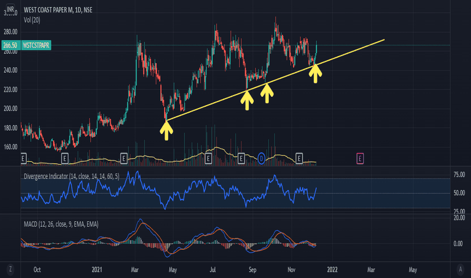 Pulp & Paper: Industry Performance — India — TradingView — India