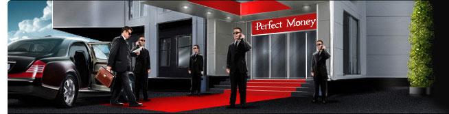 Best Perfect Money Brokers | Which Brokers Accept Perfect Money?