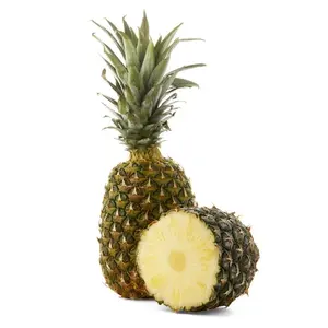 Pineapples Price in Philippines - January Market Prices (Updated Daily)