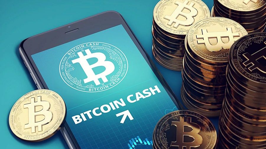 Bitcoin and Bitcoin Cash Payments