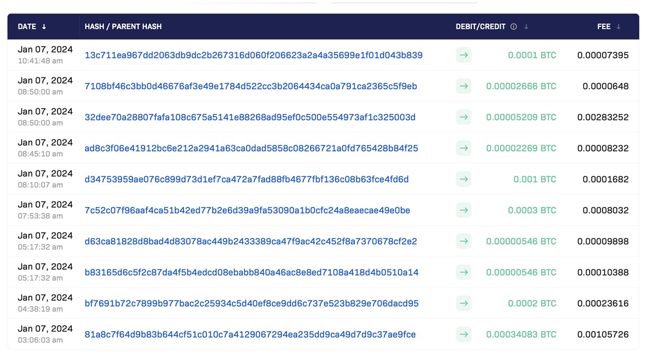 In Depth Explanation of the Satoshi Test | 21 Analytics