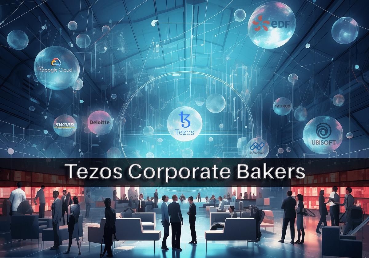 Governance and validation on Tezos | Tezos