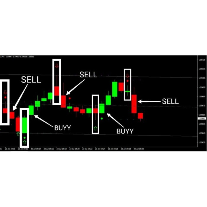 FP Markets Adds TradingView: Advanced Charts & Social Trading