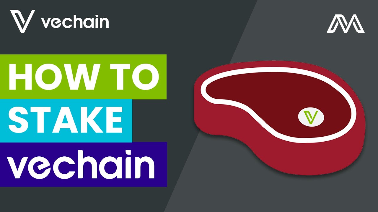 How to Stake VeChain | Cryptopolitan