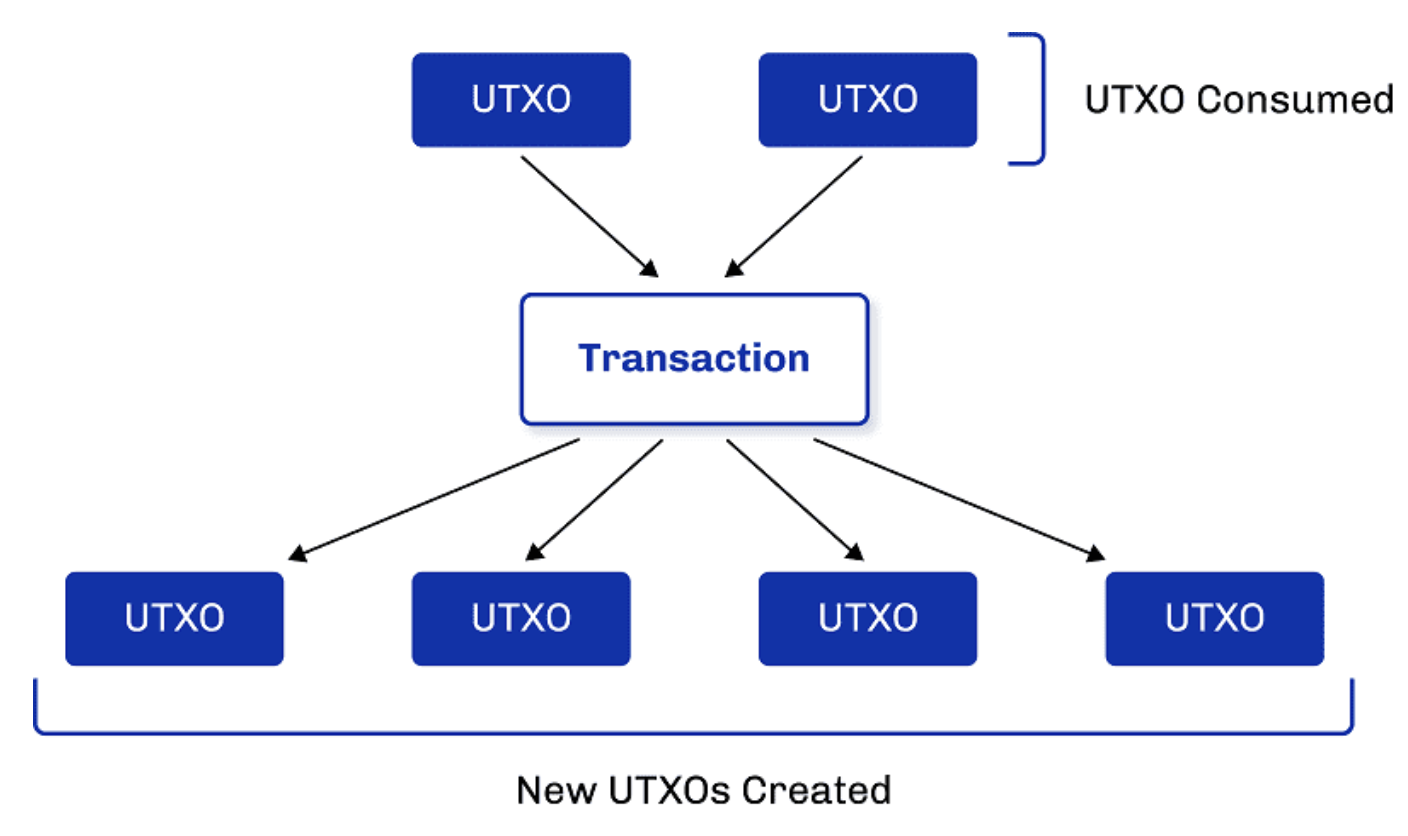 UTXO Model: Definition, How It Works, and Goals