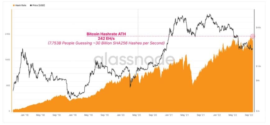 What Is Hash Rate and Why Does It Matter for Crypto Mining? | CoinCarp