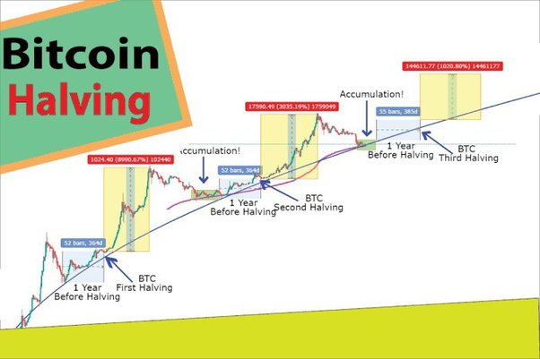 Will Bitcoin’s price climb higher after the halving? Here’s what four experts say – DL News