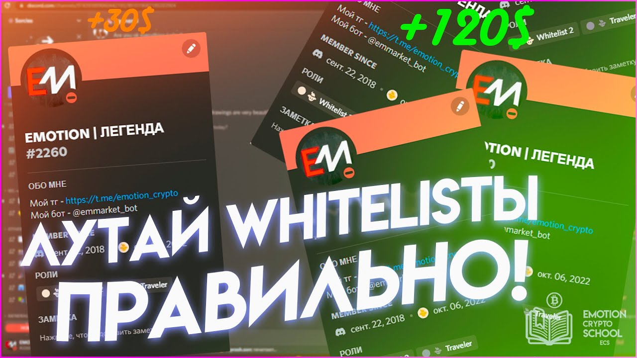 How to whitelist IP ranges - База на знаења - Brookwin Technology Solutions Private Limited