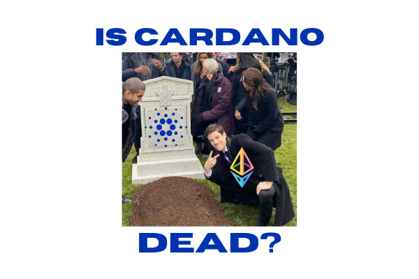 Cardano Dealt Huge Blow As New Research Shows ADA Dominates Dead Coins ⋆ ZyCrypto