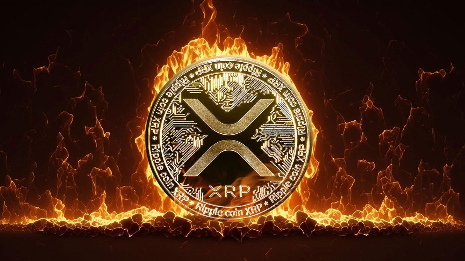 XRP Ledger Explorer - XRPSCAN